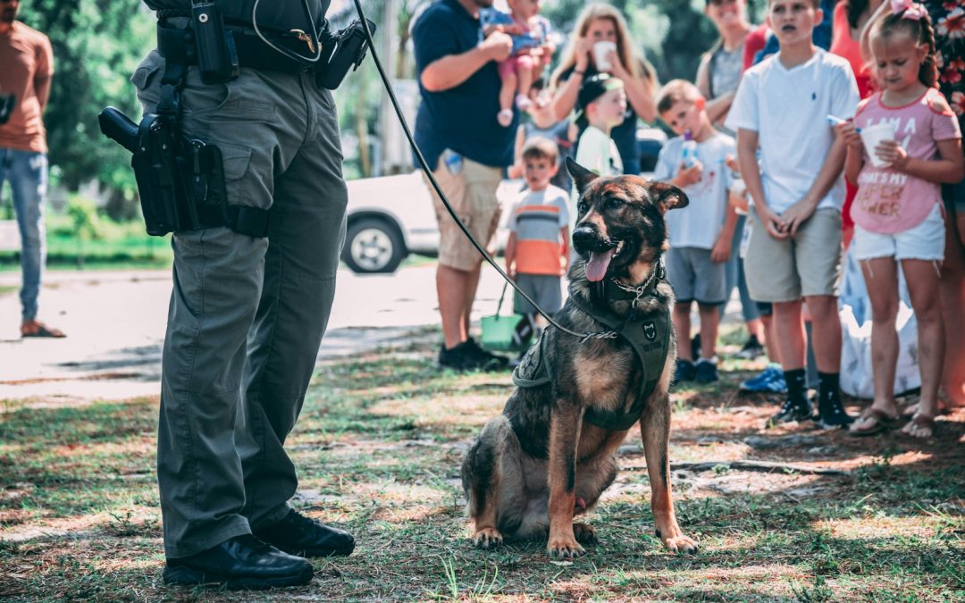 Inside Look: Geneva IL Police K9 Unit Demonstration & Versatility