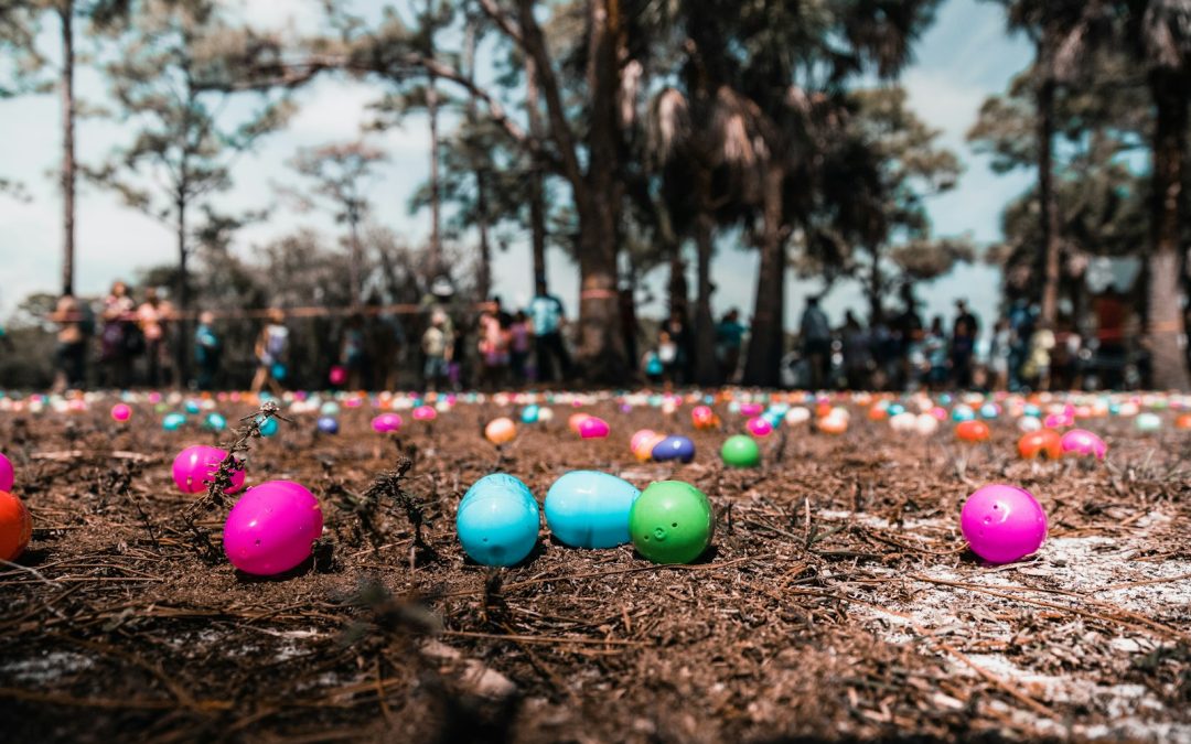 assorted-color faberge egg on brown grass