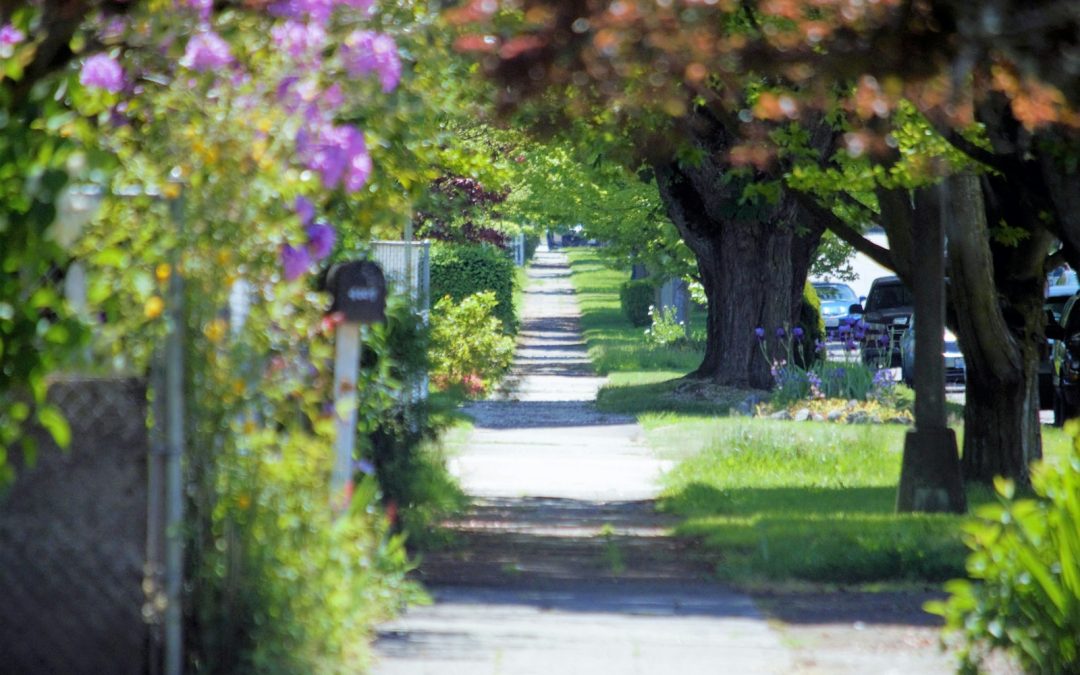 a pathway lined with lots of trees and flowers