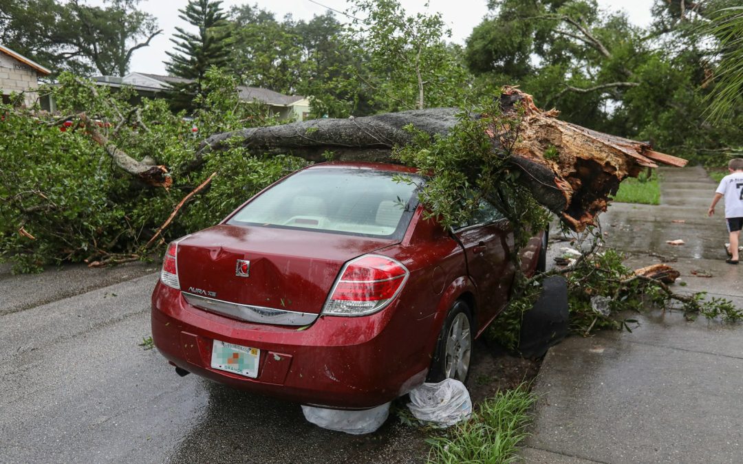 Residents Praise City’s Tornado Recovery Efforts