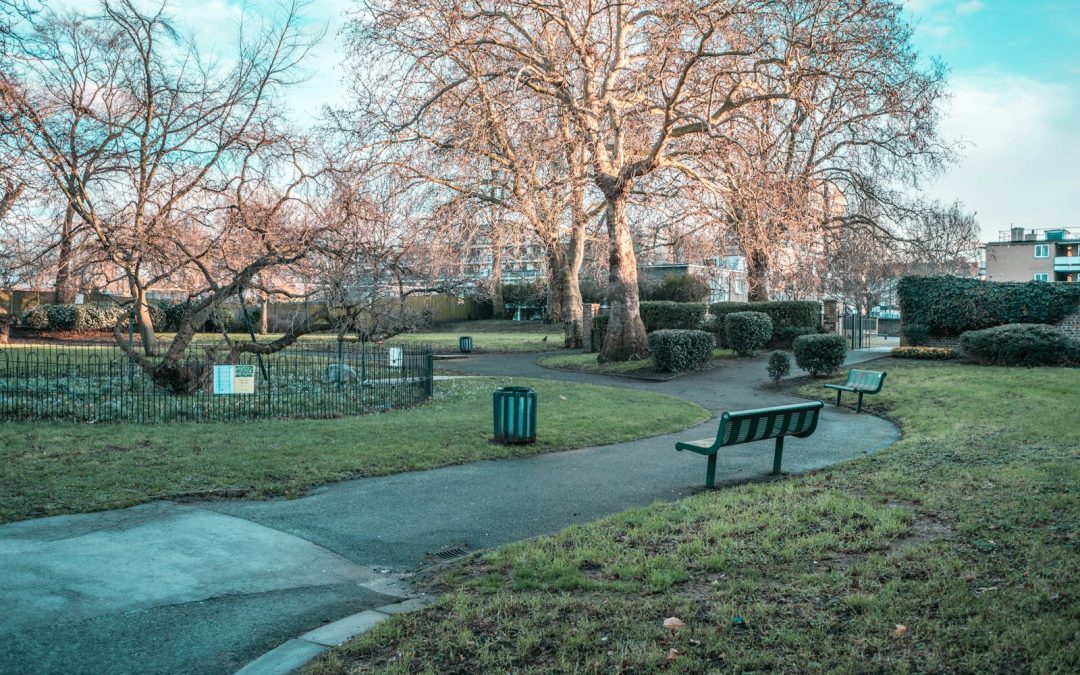 brown wooden bench on green grass field near brown trees during daytime