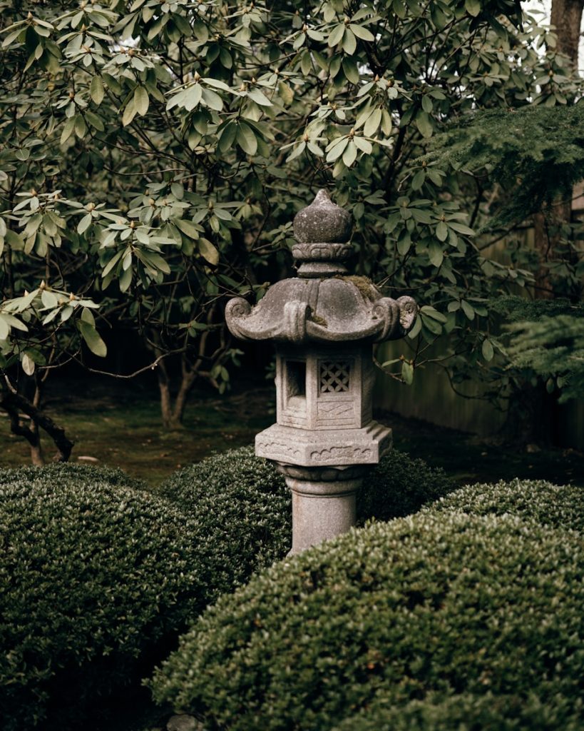 gray concrete outdoor fountain surrounded by green plants during daytime